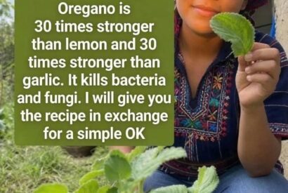 Thumbnail for Oregano for Wellness? Benefits, Risks, and What to Know First