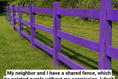 Thumbnail for If You Spot a Painted Purple Fence, This Is What It Means (And Why You Should Immediately Turn Around)