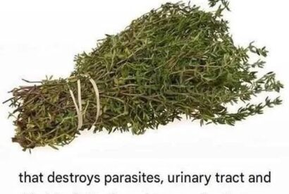 Thumbnail for THE MOST POTENT HERB THAT DESTROYS PARASITES, URINARY TRACT & BLADDER INFECTIONS, HERPES, AND FLU VIRUSES