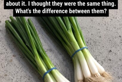 Thumbnail for Difference Between Green Onions, Scallions, Spring Onions and Chives