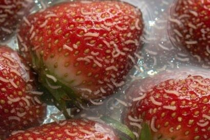 Thumbnail for The Strawberry Surprise: Understanding What’s in Your Berries (And How to Clean Them with Confidence)