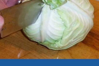 Thumbnail for He cuts cabbage and makes the most delicious, quick dinner in the world!