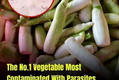 Thumbnail for The Vegetable Most Likely To Carry Parasites Is Also One Many People Love Eating Raw