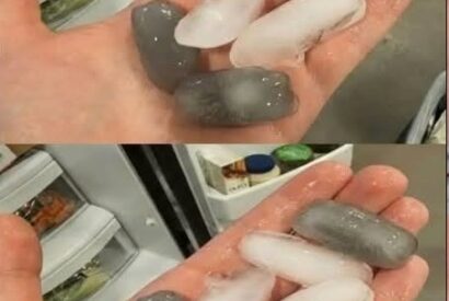 Thumbnail for Why Are Ice Cubes in My Fridge Gray?