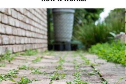 Thumbnail for My grandpa taught me this trick to kill driveway weeds with 0 effort. Here’s how it works