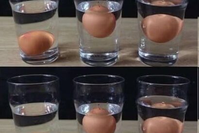 Thumbnail for 5 Ways to Tell If an Egg Is Fresh or Rotten – No Guesswork Needed!