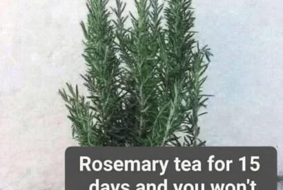 Thumbnail for Rosemary Tea for Wellness: A Natural Herbal Remedy