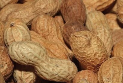 Thumbnail for Doctors Reveal That Eating Peanuts Causes