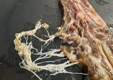 Thumbnail for Pulled my beef roast out of the slow cooker and saw these weird white stringy things poking out of the meat. They look like little worms or parasites.