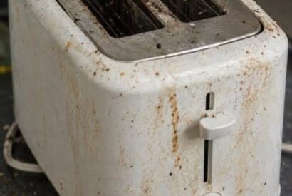Thumbnail for Your Toaster Is Grosser Than You Think