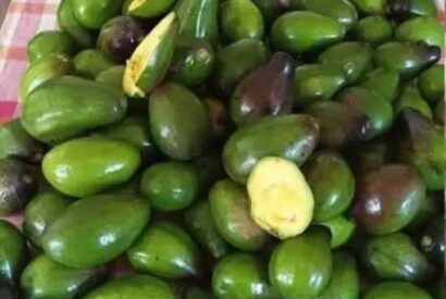 Thumbnail for 5 Potential Risks of Eating Avocados You Should Know