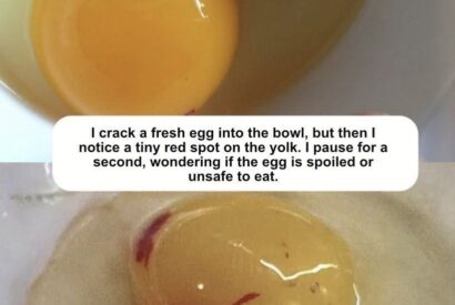 Thumbnail for Wait, Is That a Blood Spot in My Egg? Should I Toss It?