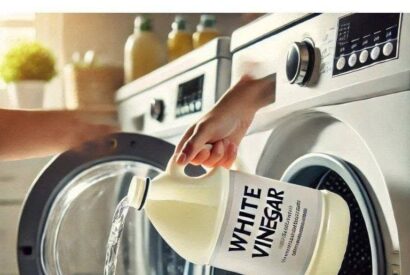 Thumbnail for Vinegar: The Key to Whiter Whites and Softer Towels (But Most People Use It Wrong). Here’s the Right Way.