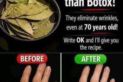 Thumbnail for Exploring the Benefits of Bay Leaves for Skin: Natural Anti-Aging Properties