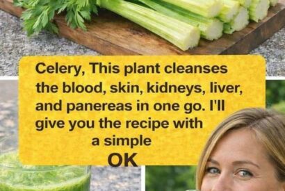 Thumbnail for Fresh Celery Detox Drink