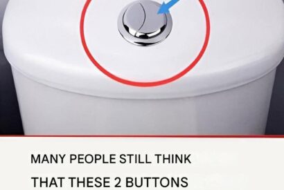 Thumbnail for Many people still believe that these two buttons are only for flushing the toilet.