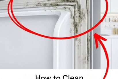 Thumbnail for Here’s how to clean your refrigerator’s waterproof seal in 5 minutes.