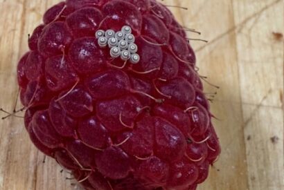 Thumbnail for Why Tiny White Worms Sometimes Appear When You Soak Raspberries In Salt Water