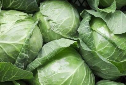 Thumbnail for The Unsung Hero of the Produce Aisle: Why Doctors Are Obsessed with Cabbage (Plus a Recipe You’ll Actually Crave)