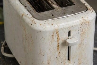 Thumbnail for Your Toaster Is Grosser Than You Think