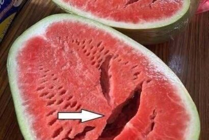 Thumbnail for You Cut Open a Watermelon and Saw Cracks? Stop Eating It Immediately! Here’s What It Really Means
