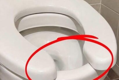 Thumbnail for Have You Ever Wondered Why Public Restrooms Have U-Shaped Toilets?