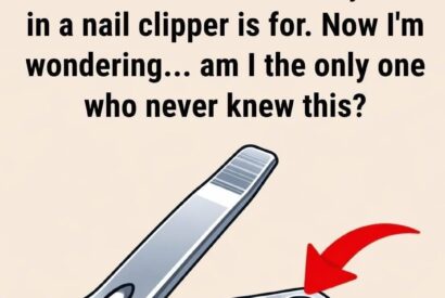Thumbnail for What’s the Small Round Hole on Your Nail Clipper For? A Tiny Detail with Surprising Purpose