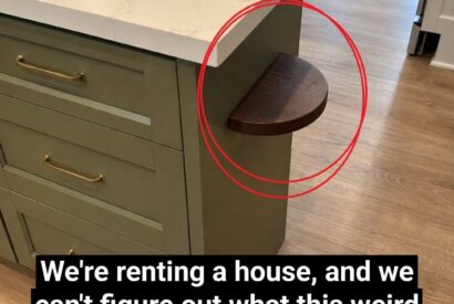 Thumbnail for The Mystery of the Little Ledge: What That Small Kitchen Island Shelf Is Actually For (And How to Love It)