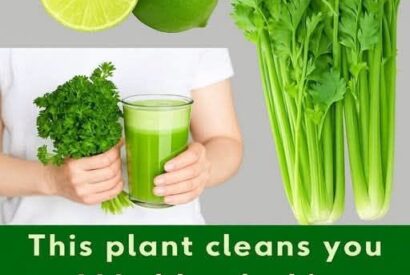 Thumbnail for Celery Lime Detox Drink