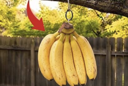 Thumbnail for What Happens When You Hang a Ripe Banana