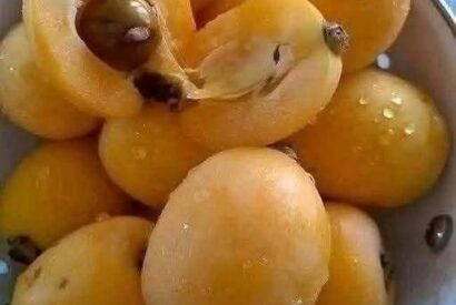 Thumbnail for Traditional Apricot Jam Recipe and How to Make It