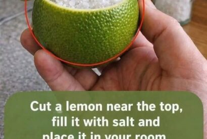 Thumbnail for Boil Lemon Peels and Rejuvenate Your Health