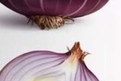 Thumbnail for The Powerful Health Benefits of Onions Full article
