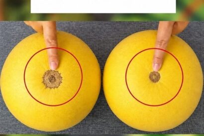 Thumbnail for No more bland yellow watermelons! Here’s a sure-fire visual guide to finding the sweetest fruit at the market.