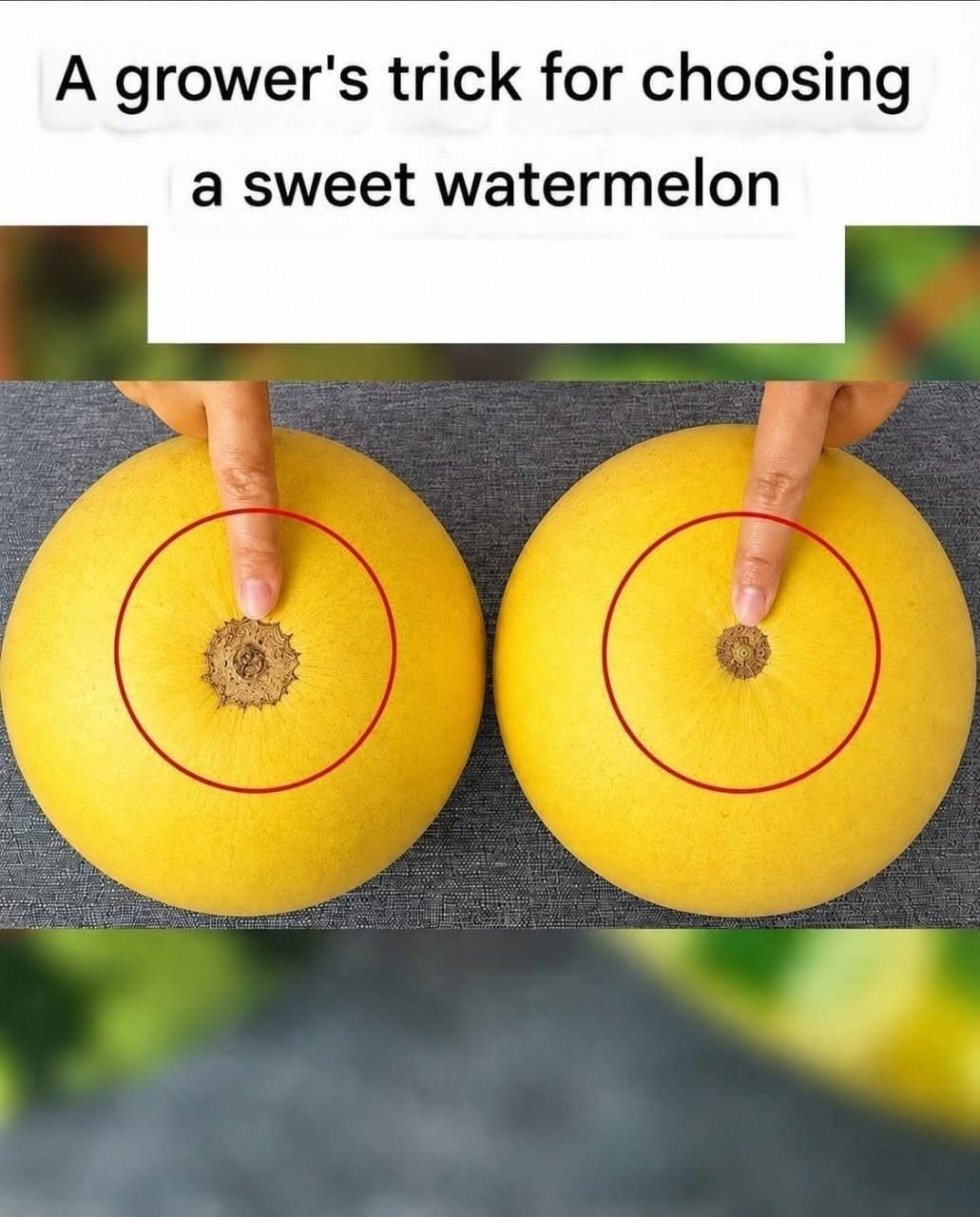772853636_1039410778989012_7561518050639080563_n