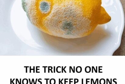 Thumbnail for How to Keep Lemons Fresh Longer and Prevent Mold