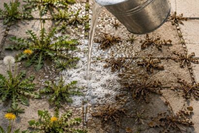 Thumbnail for Natural and Powerful Homemade Weed Control