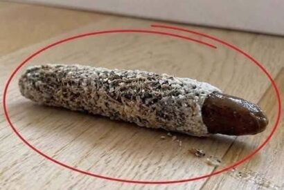 Thumbnail for I found this on the floor near my bedroom door… No one in my house knows where it came from, and honestly, I’ve never seen anything like it before. What do you think it is? Check the first comment for the answer