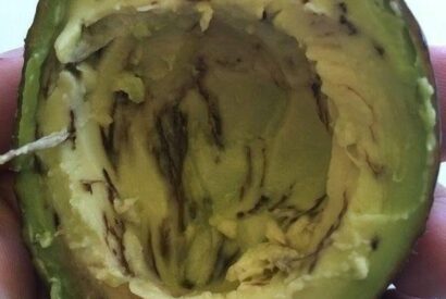 Thumbnail for How to Know if That Avocado Is Safe to Eat