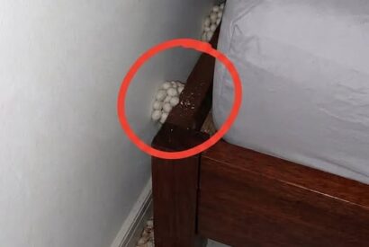 Thumbnail for The Bedroom Mystery: What Are Those Chalky, Oval Objects Under My Bed?