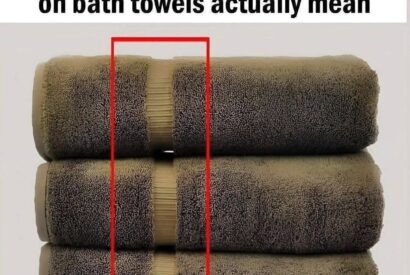 Thumbnail for Here’s What The Lines On Bath Towels Actually Mean