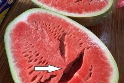 Thumbnail for You Cut Open a Watermelon and Saw Cracks? Here’s What They Really Mean