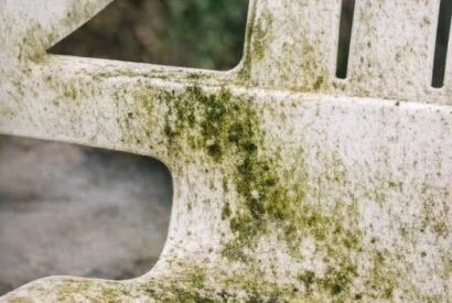 Thumbnail for My father-in-law taught me this trick to remove green mildew from patio chairs with 0 effort. Here’s how it works