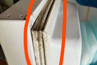 Thumbnail for How to Clean Black Mold from a Refrigerator Gasket in Minutes