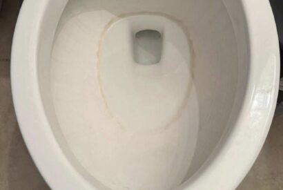 Thumbnail for How to Remove Hard Water Stains From a Toilet Bowl With Just One Product (No Scrubbing Required!)