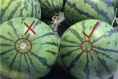 Thumbnail for How to choose a perfectly ripe watermelon: 6 simple tips