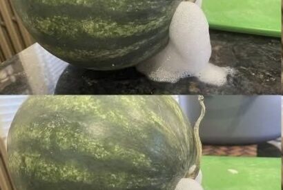 Thumbnail for The Forgotten Pre-Vacation Ritual: The Truth About the “Upside-Down Glass” Sink Hack (And How to Truly Protect Your Home’s Peace)