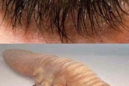 Thumbnail for These are the consequences of sleeping with the… See more