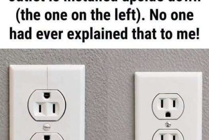 Thumbnail for Why Some Wall Outlets Are Installed Upside Down: The Practical Reason Behind It