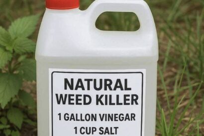 Thumbnail for My Nana Swears by This DIY Weed Killer Recipe – Here’s How It Works (And Why It Actually Works!)
